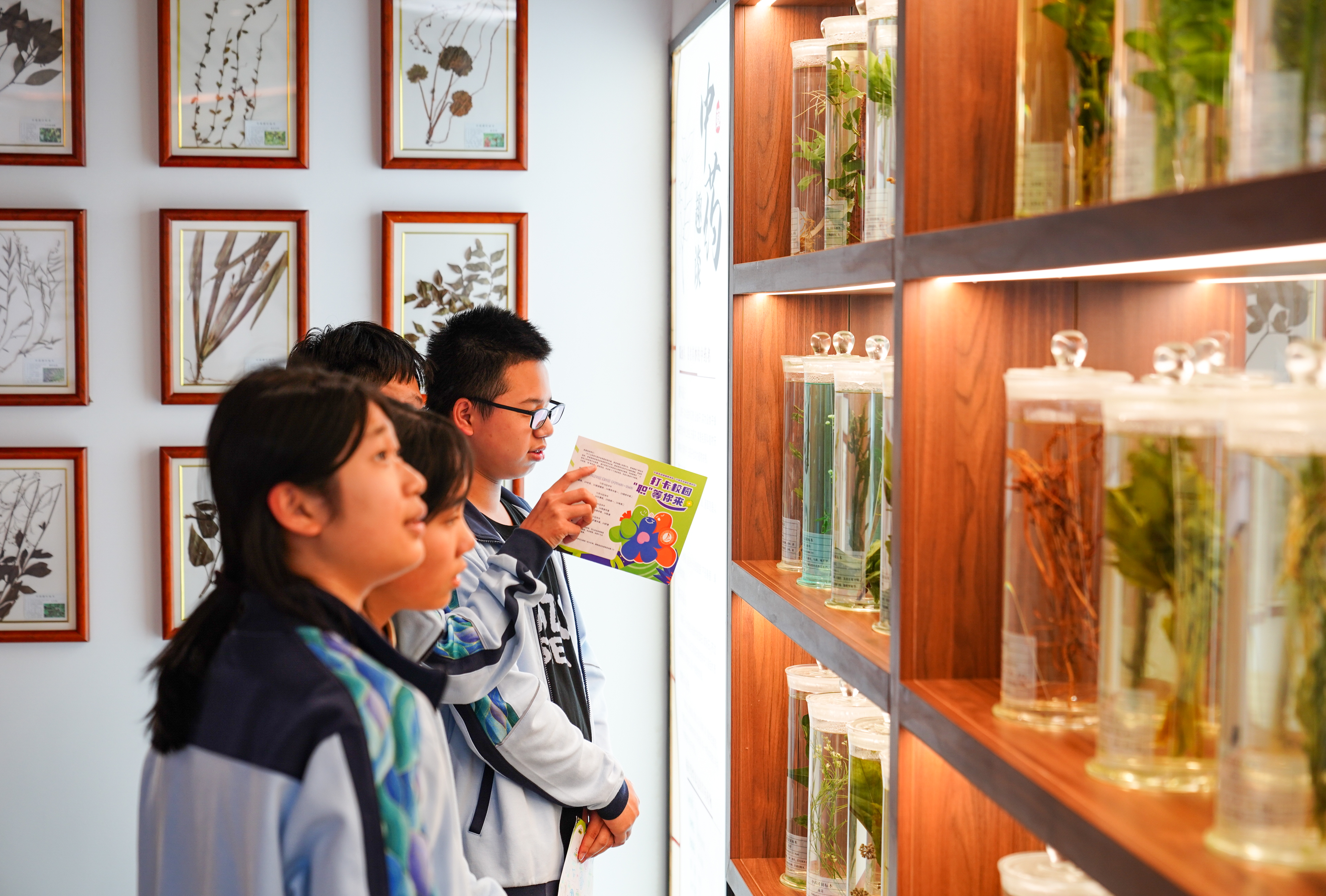 寧波東錢(qián)湖旅游學(xué)校學(xué)生參觀學(xué)校中醫(yī)藥陳列館 胡佳 攝.jpg
